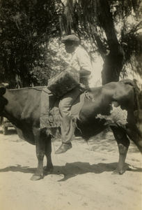 Gullah man riding a bull