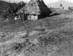 Typical "caille" near Furcy; A few banana and coffee trees (on the left) are all that each one has