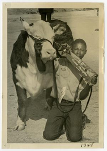 Boy with a Cow