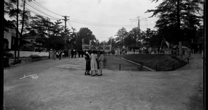 Suburban Gardens amusement park : acetate film photonegative, banquet camera format.