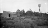 Argentina, view of orchard in Choele-Choel