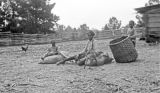 Three African American children with cotton baskets in a barnyard in Wilcox County, Alabama.