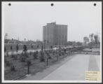 Addams Park (0262) Views - Landscapes - Construction progress photographs, 1956-09-11