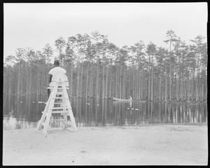 Campbell's Pond, Cheraw State Park, South Carolina