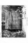 Survivors from the cargo of the Negro slave yacht "Wanderer"