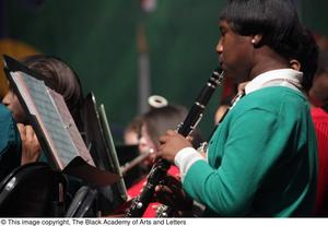 Orchestra Members Performing