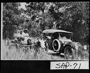 Photograph of people on wagon and in car, Sapelo Island, McIntosh County, Georgia, between 1915 and 1934