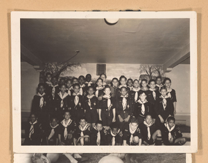 Photograph of a Boy Scout troop, Georgia