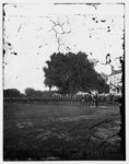 [Beaufort, South Carolina. 29th Regiment from Connecticut]