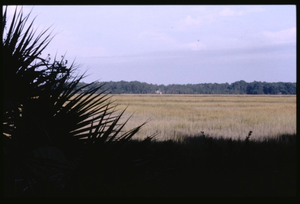 Arthur Peter Dilbert