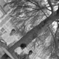 Thumbnail for Geoff Cowan, Susie Sanders, and Shirley Martin seated on a bench on the lawn of Sidney Lanier High School in Montgomery, Alabama.