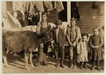 Wylie Mill, Chester, S.C. Boy with calf is Pamento Benson. Raising it for beef. Has worked in mill 2 years. Mr. Benson said, "Just as soon as the boys get old enough to handle a plow, we go straight back to the farm. Factory is no place for boys." Next to Pamento is Ray Benson. "Helper in the mill" Next Clarence Rost, works in mill.  Location: Chester, South Carolina.