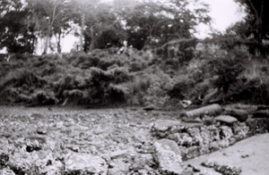 Field Work in Bunce Island, Sierra Leone: The Island Shore at the bottom of the British Slave Castle