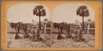 Farming, Fort George Island