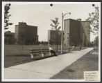 Addams Park (0262) Views - Landscapes - Construction progress photographs, 1958-07-24