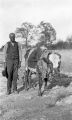 Parson, an African American man plowing with an ox in rural Wilcox County, Alabama.