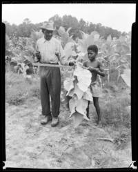 Adult and Child with Tobacco