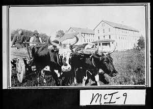 Photograph of Mrs. Matthews and Arthur Deverger in ox cart, Pine Harbor, McIntosh County, Georgia, 1920-1925