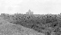 Manassas Agricultural school. Views of agricultural plots. First agricultural school built in the state of Virginia. Never used as an agricultural school. Used for primary grades and teacher training courses