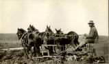 Unidentified man plowing with horse drawn plow