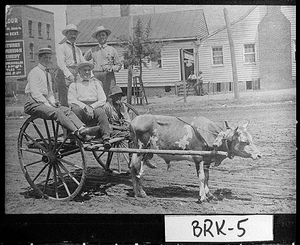 Photograph of a group of men in ox cart driven by African American man, Quitman, Brooks County, Georgia, ca. 1915