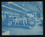 Louisiana Purchase Exposition, St. Louis, Missouri, 1904