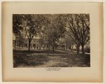 View in arsenal yard, Washington, D.C., general view