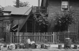 Jasper Wood Collection: Containers lined up along curb