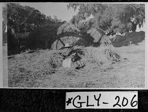 Photograph of field hand at Hofwyl Plantation, Glynn County, Georgia, ca. 1910