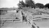 Argentina, view of dipping tank at Estancia Jones