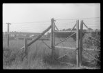 Barbed wire-surrounded barracks for Florida Negro migrants working at Webster Canning Company, Cheriton, Virginia