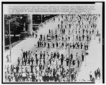 [Several rows of civil rights activists, many holding hands, march down Chicago's Balboa Drive to protest school segregation]