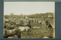 Street in camp of 10th Cavalry, Windsor, August 4, 1912