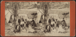 Party of tourists at a picnic