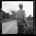 Old time Negro living on cotton patch near Vicksburg, Mississippi