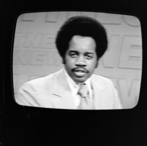 A reporter on a television screen