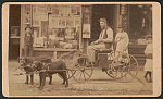 [Unidentified Civil War Union veteran in cart pulled by two dogs in front of C.F. Cook's photography studio, Wilkes-Barre, Pennsylvania]