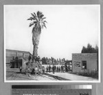 Fifth Street and Central Avenue, Los Angeles