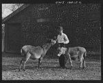 First rural rehabilitation colonists, northern Minnesota to Matanuska Valley, Alaska