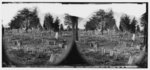 [Richmond, Va. Graves of Confederate soldiers in Oakwood Cemetery, with board markers]