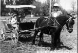 Horse and Buggy