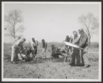 Thumbnail for Marquette Park (0010) Features - Gardens and flower beds, 1961-05