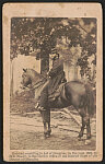 [Clerk Chief P. Edward Beal of Quartermaster's Dept., 2nd Army Corps, Army of the Potomac in uniform on horseback]