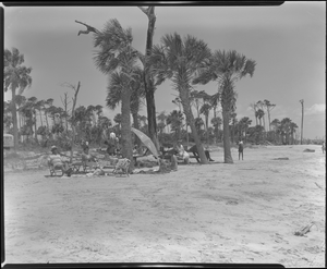 Segregated African American area, Hunting Island State Park, South Carolina