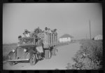 Negroes brought in by truck from nearby towns as day labor for cotton picking. Marcella Plantation, Mileston, Mississippi Delta, Mississippi