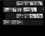 Set of negatives by Clinton Wright of Margie's wedding, 1966