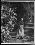 Aunt Phoebe, Magnolia-on-the-Ashley [i.e. Magnolia Gardens], Charleston, S.C.