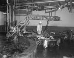 Cattle hides at the meat packing plant of Swift and Company in Montgomery, Alabama.