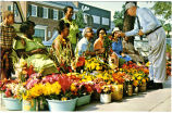 The Franklin Street Flower Ladies