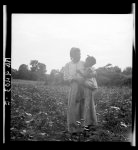 Old time Mississippi Negro living on a cotton patch near Vicksburg, Mississippi